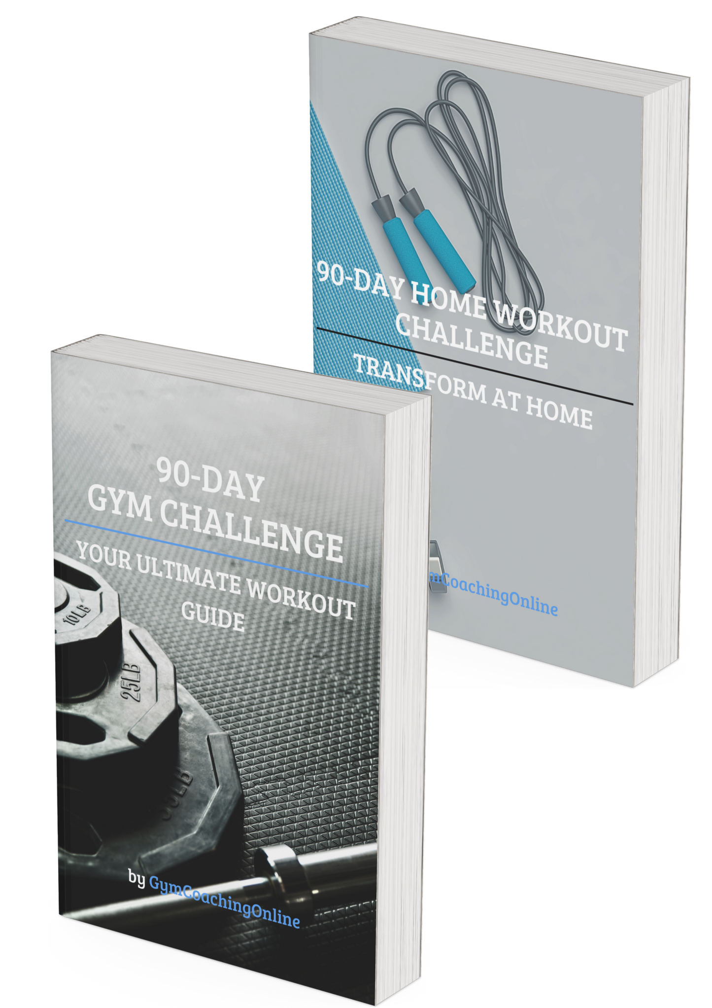 90-Day Challenge Bundle – Complete Gym & Home Workout Guide